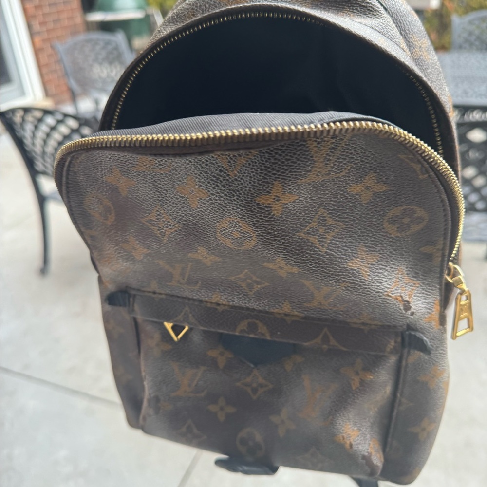 Louis Vuitton Monogrammed Palm Springs PM - Picture 12 of 16